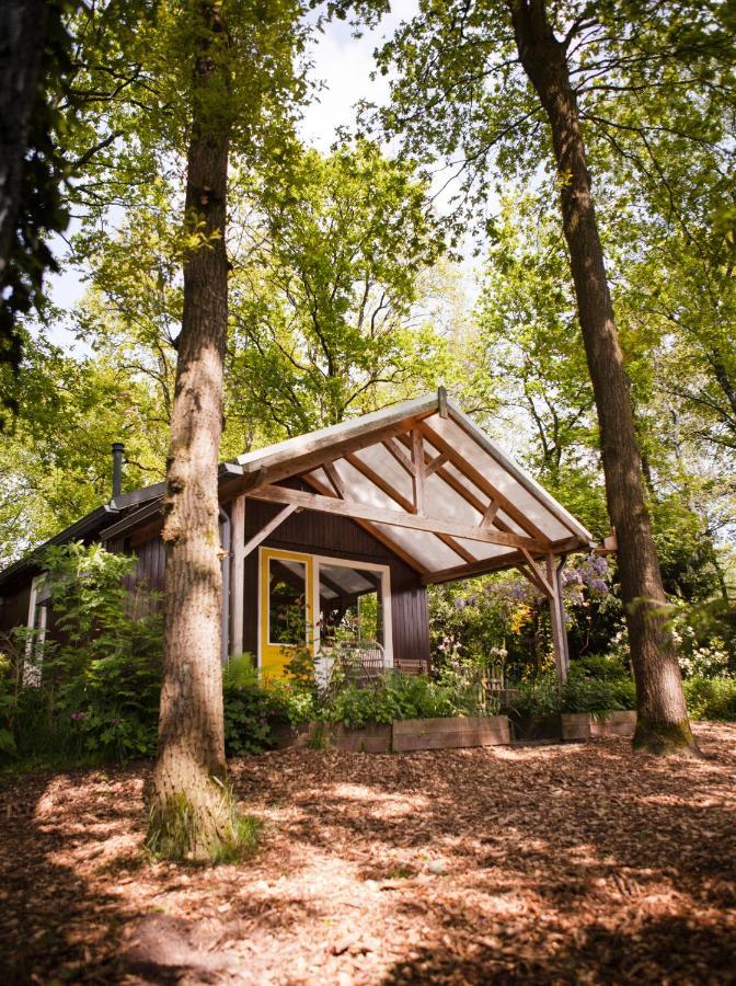 Knus Boshuisje Onder De Eiken Ermelo Exteriér fotografie